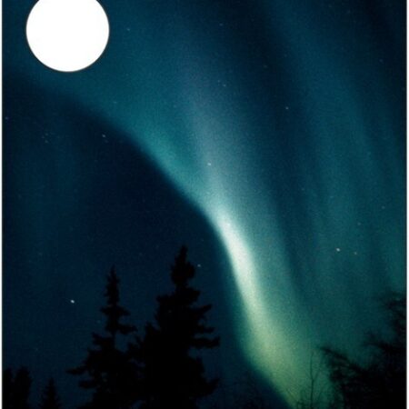 Панель для чехла Samsung Flipsuit S24+ National Geographic Aurora