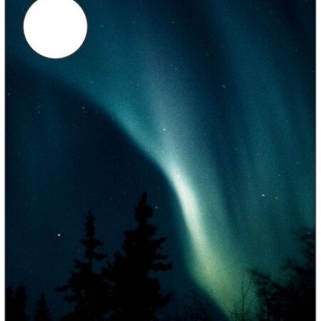 Панель для чехла Samsung Flipsuit S24 National Geographic Aurora